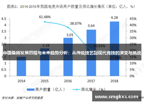 中国桑搏发展历程与未来趋势分析：从传统技艺到现代竞技的演变与挑战